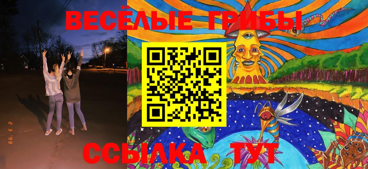 Галлюциногенные грибы MAGIC MUSHROOMS  Вход с VPN  Псилоцибиновые грибы Cubensis  Пушкино 