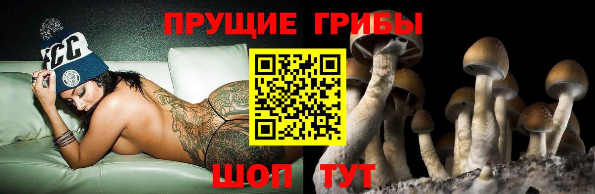 Галлюциногенные грибы ЛСД Пушкино